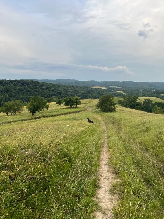 Коттедж Дизайнерский Барнхаус в природе Адыгеи — Новосвободная