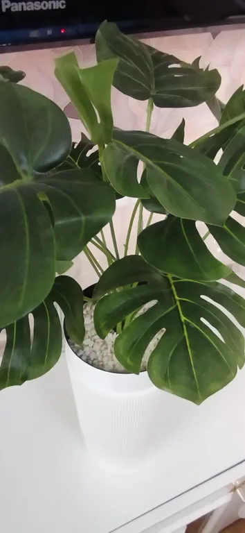 Благородная квартира в центре города