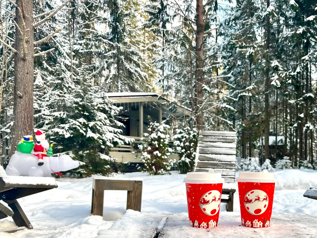 Коттедж Дизайнерский коттедж на берегу озера Волго на Селигере — Турбаза Чайка