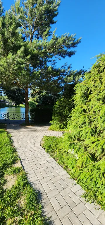 Дом с шикарной беседкой на озере