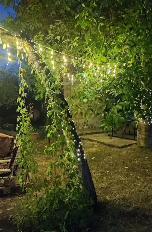 Семейный коттедж Поляна