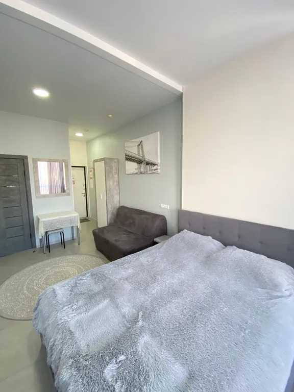 Квартира 1-комнатная Квартира — Сириус