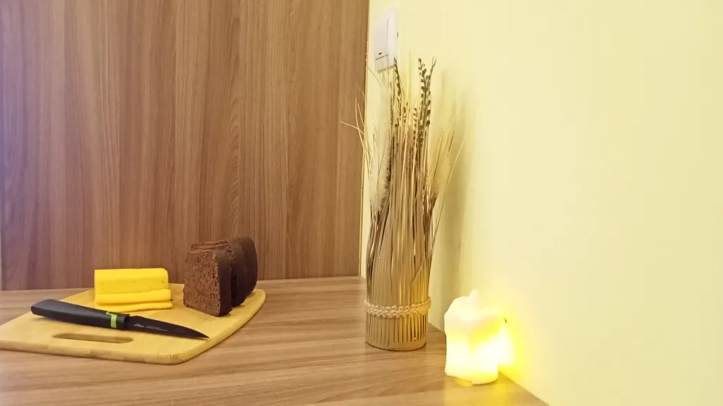 С видом на берег озера с лебедями, в историческом центре, с 1 кроватью