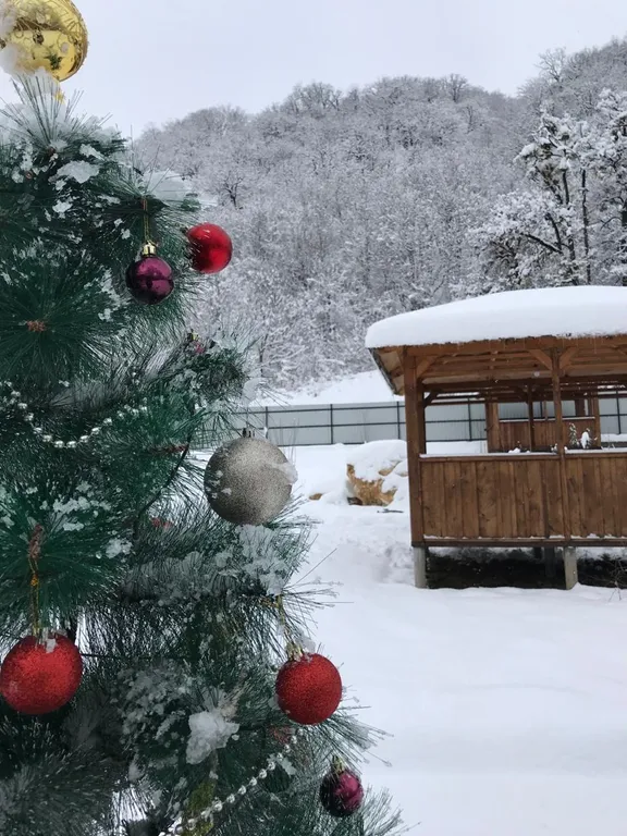 Домик у леса