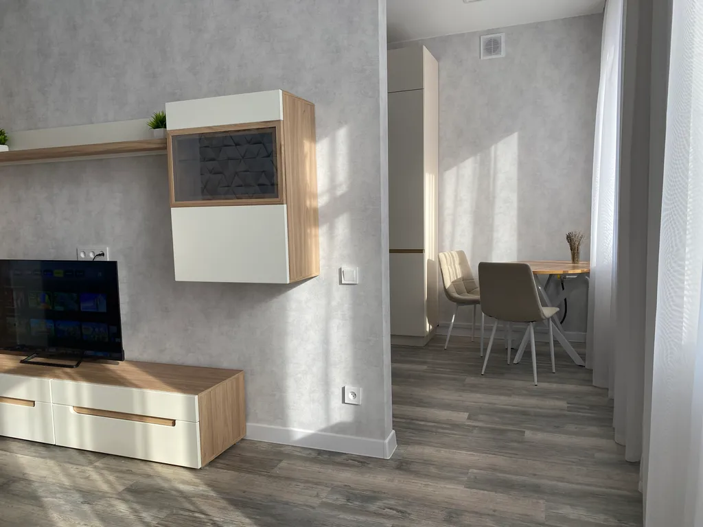 Просторная однушка в центре города