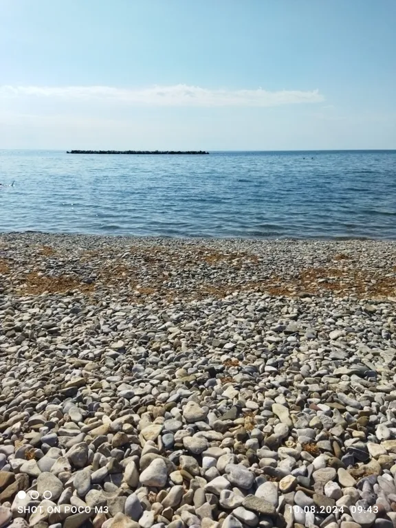 Квартира в центре, у моря