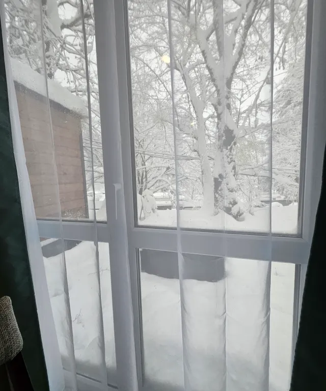 Дом на двоих с мангалом. Глэипинг Романоский хутор. Дом N4.