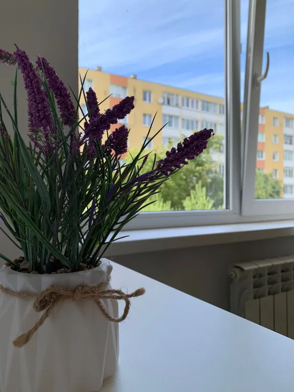 Квартира недалеко от моря