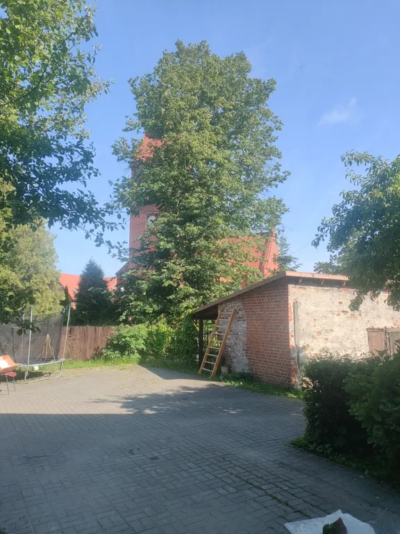 Квартира Апартаменты на Московской — Зеленоградск
