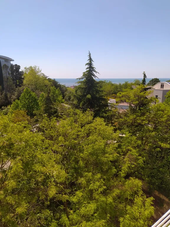 Квартира Апартаменты с видом на море — Адлер