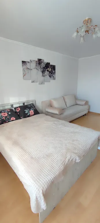 Однокомнатная квартира в северо-западном районе рядом с центром Маунтинб