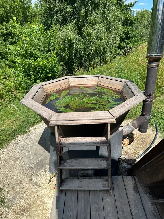 Коттедж Дом с видом на реку — Толстобино