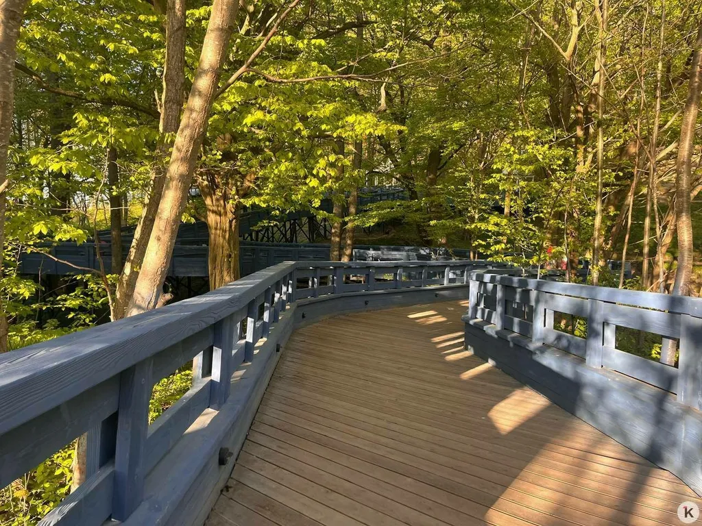 Квартира Уютная квартира в курортном городе — Пионерский