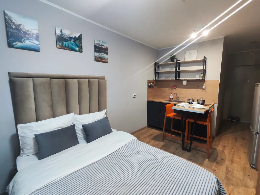 Студия у метро Парнас