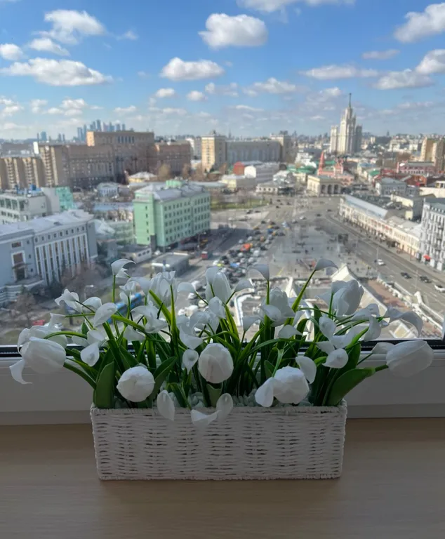 Посмотри на Москву сверху