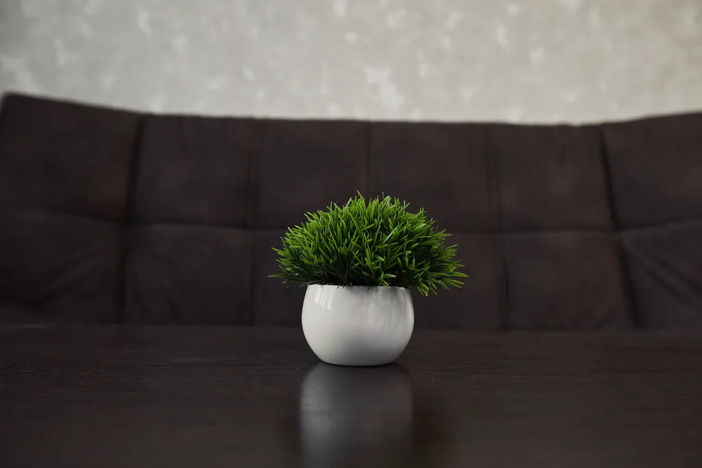 Квартира в цитре города