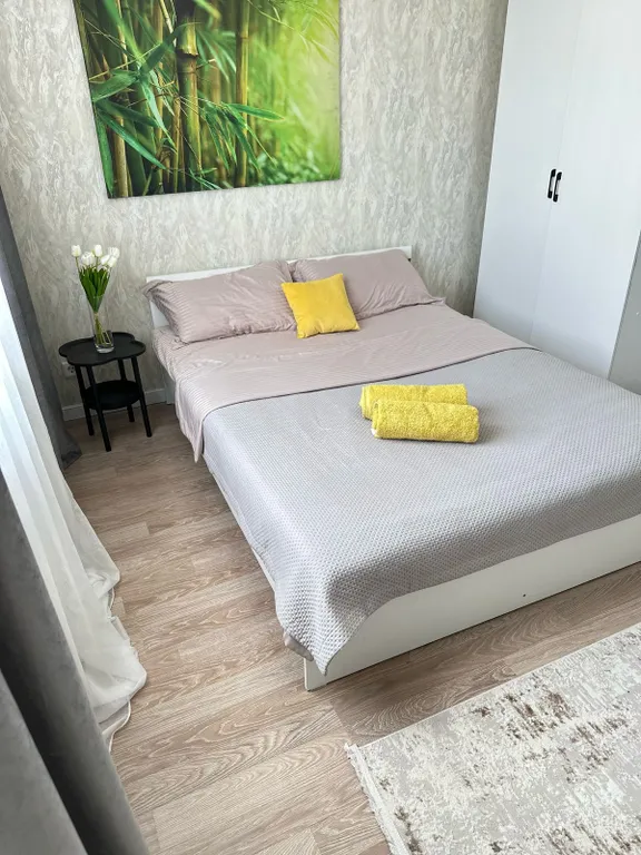 Просторная евродвушка в самом  центре города