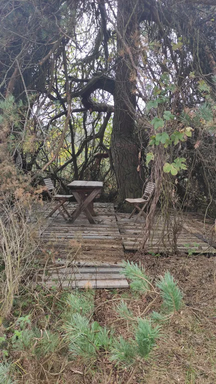 Шале Можжевеловое