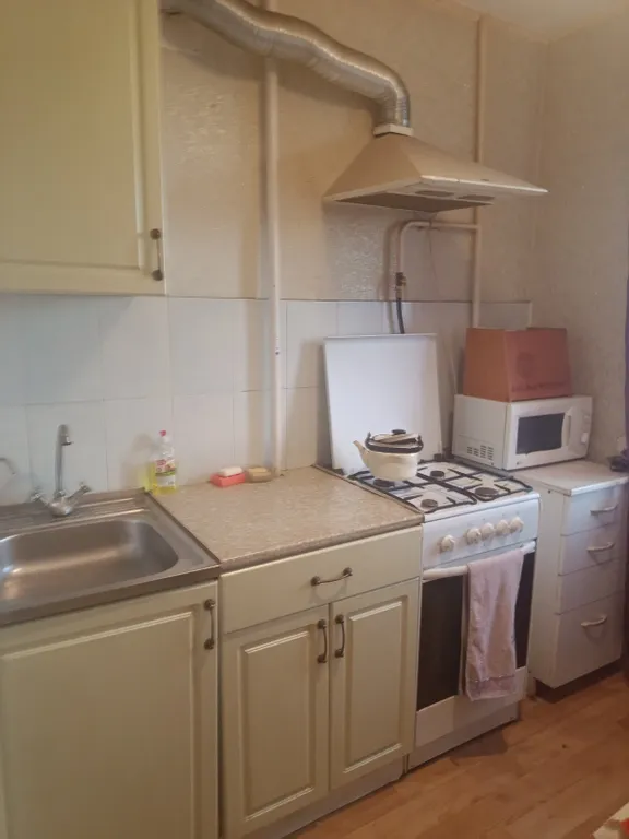 Уютная квартира около озера рядом со спорткомплексом Северная звезда