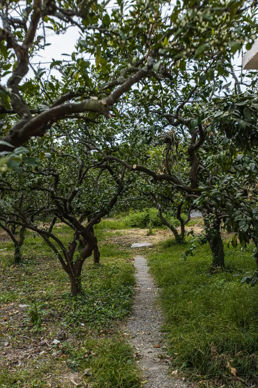 Домик в мандариновом саду 1й этаж под ключ