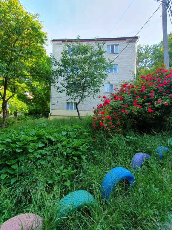 Уютная квартира в курортной зоне рядом с лесным массивом