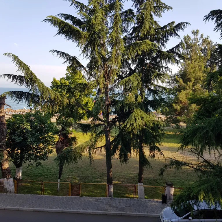 Квартира на берегу моря