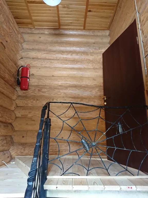 Дом с видом на Ладожское озеро