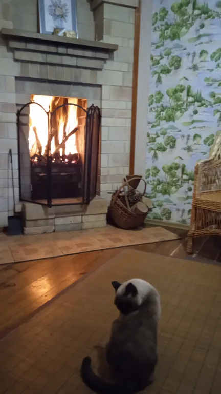 Студия с 1 кроватью с видом на море