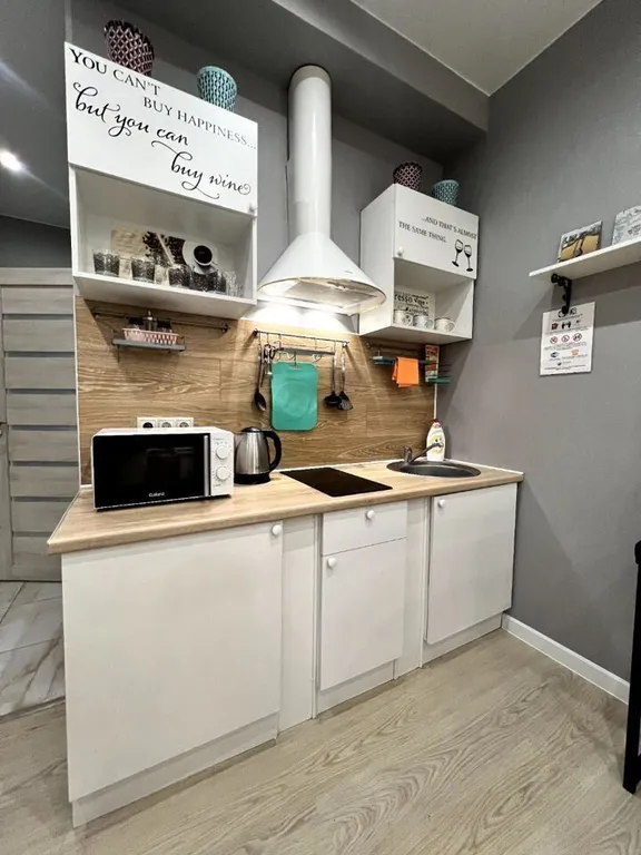 Современная комфортная студия