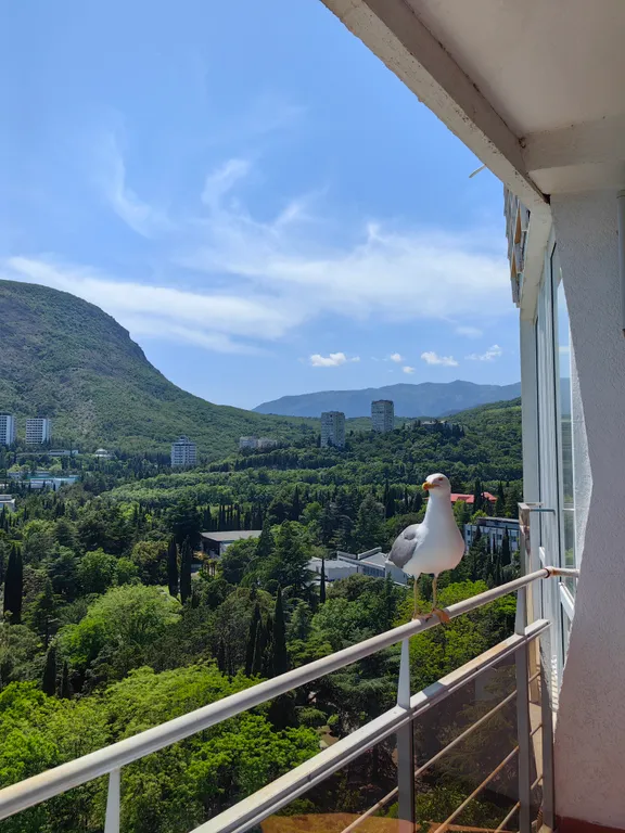 Апартамент с видом на море