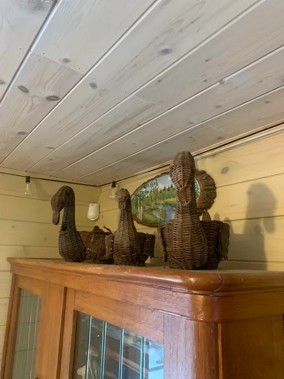 Дом Лебедевых