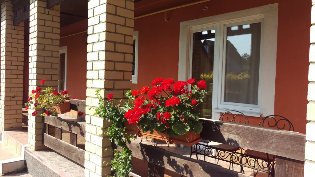 Квартира Апартаменты с большой террасой — аренда посуточно в Заостровье