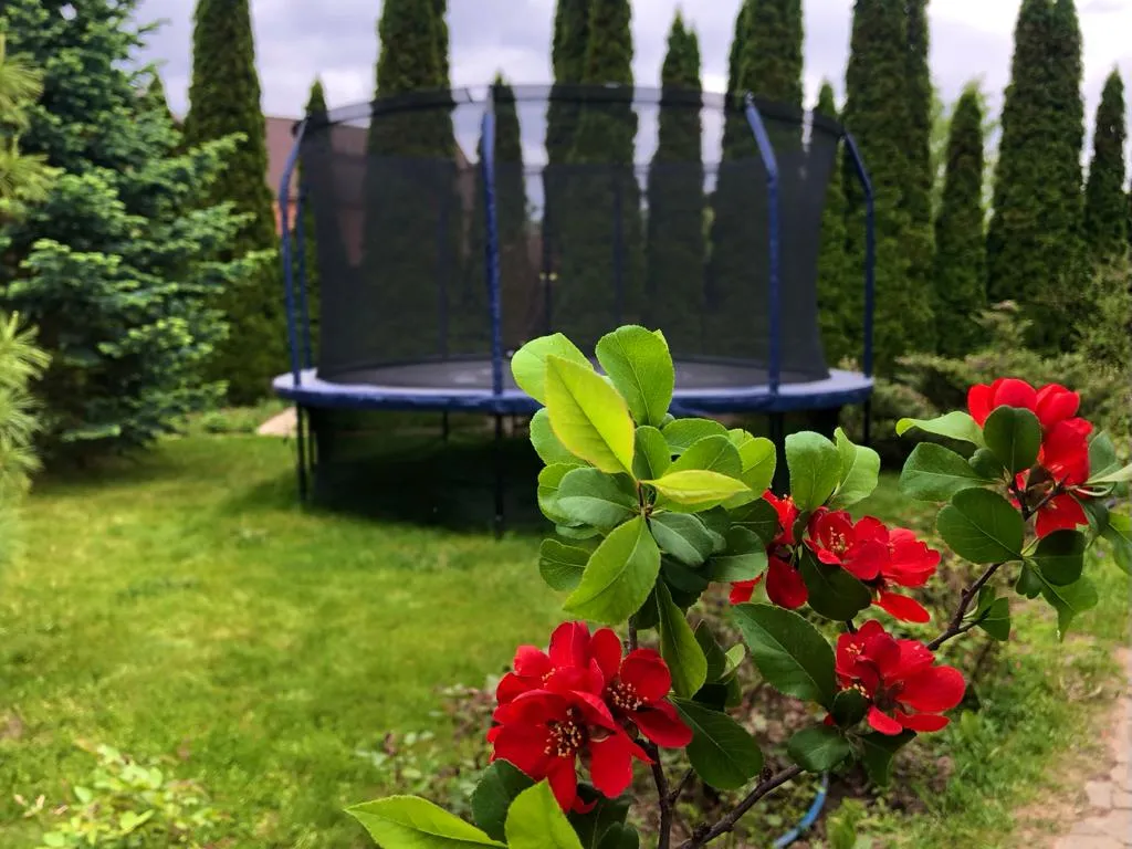 Дом с бассейном и сауной в 5 минутах на автомобиле до Коломенского Кремля