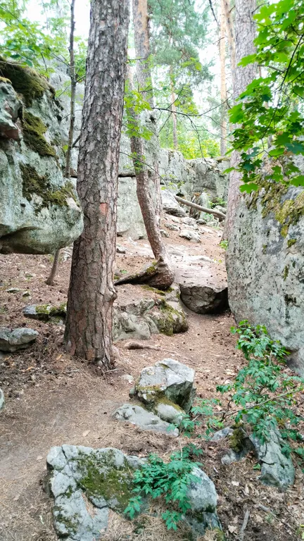 Гостевой домик