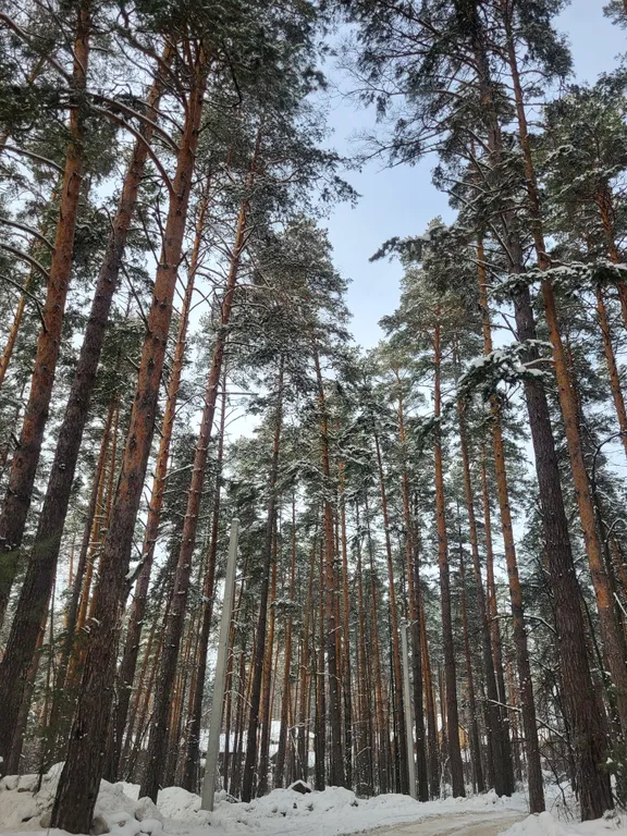 Коттедж Дом на Волге 1 линия — Казань