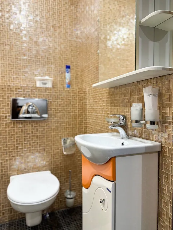 Просторная квартира на Советской