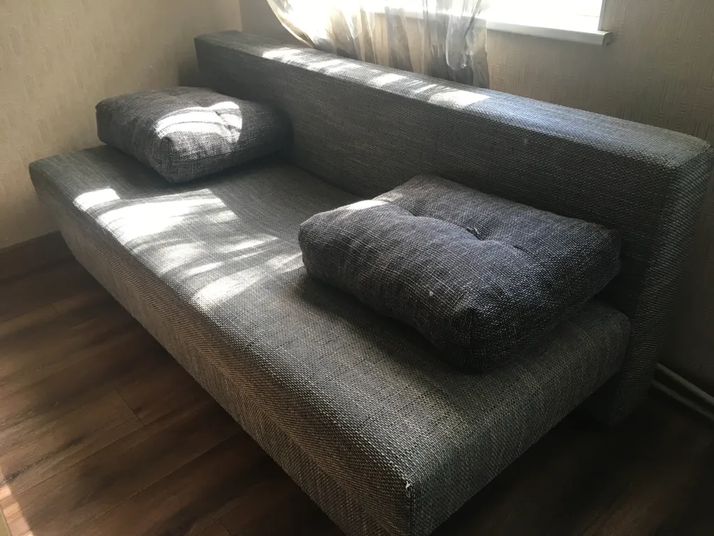 У ботанического сада