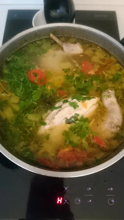 New Gudauri-2 Apart Panorama