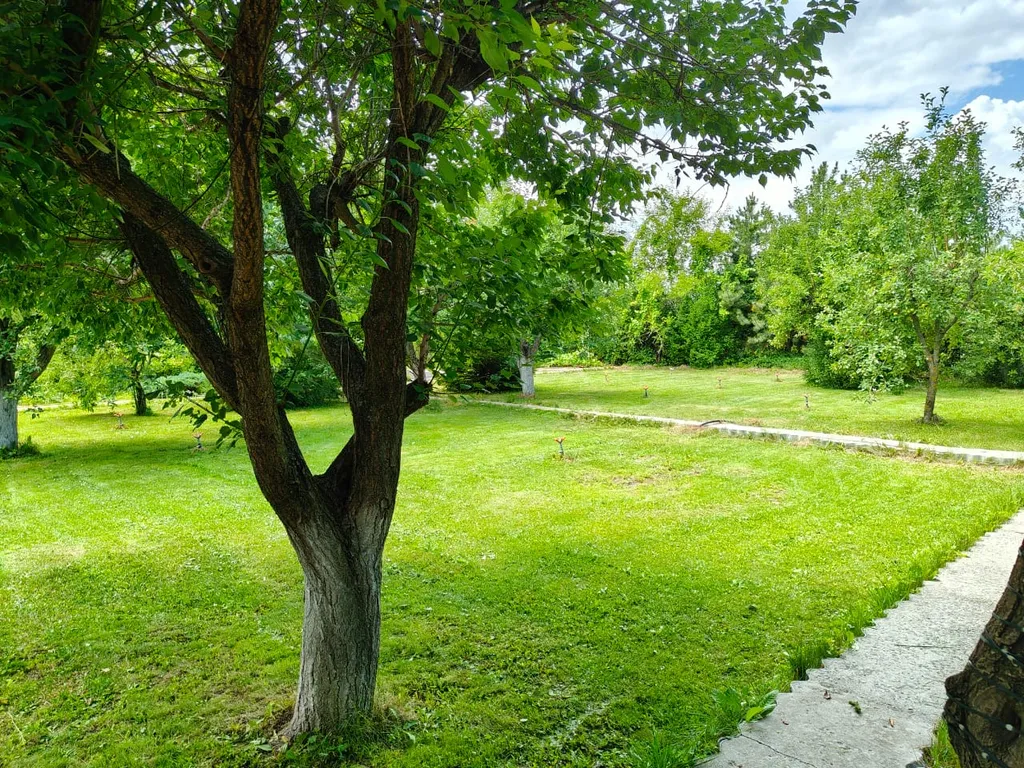 Континент - загородный оазис