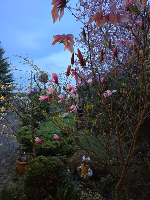 Тихий уют с бассейном для отдыха семьёй