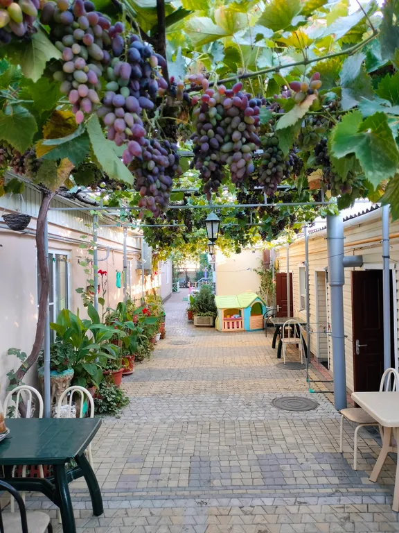 Квартира Уютная комната в центре — Анапа