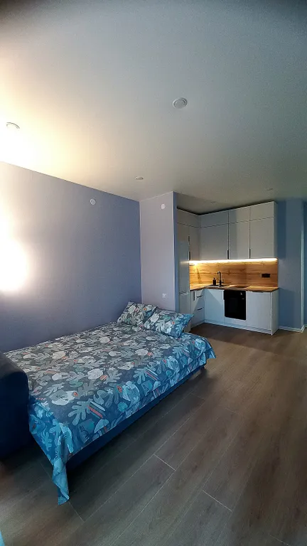 Уютная студия в тихом районе города