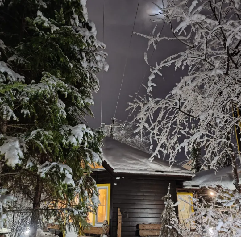 Уютный гостевой дом Живица