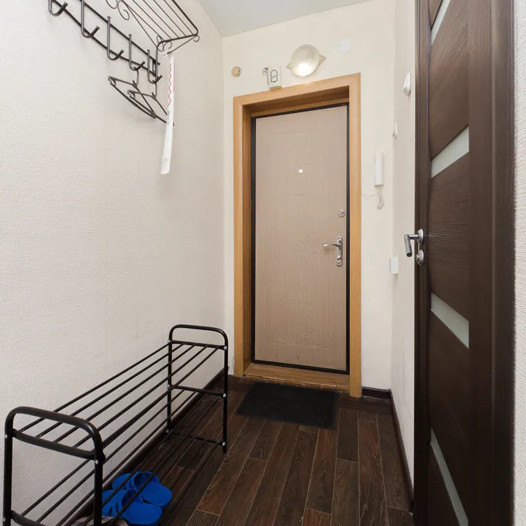 Уютная однокомнатная квартира на Ленинградской