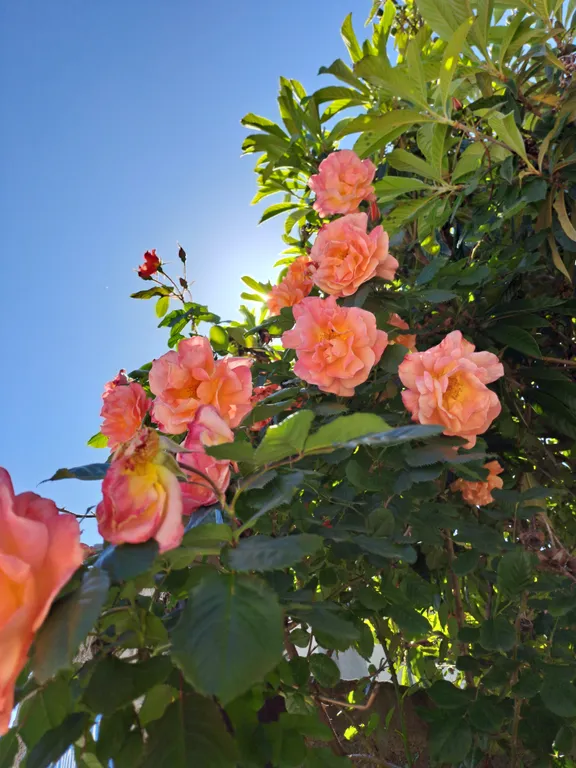 Коттедж под ключ у Черного моря