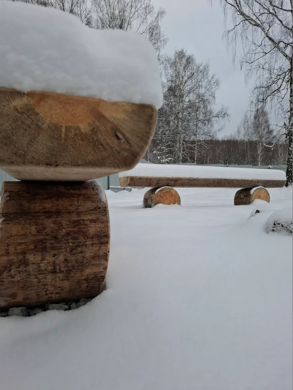 Дом в лесу с большой террасой