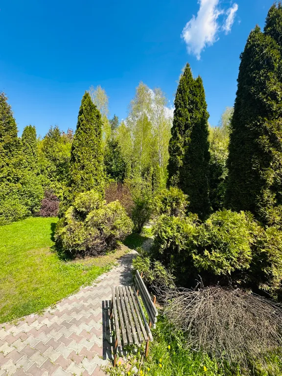 Дом с бассейном у леса