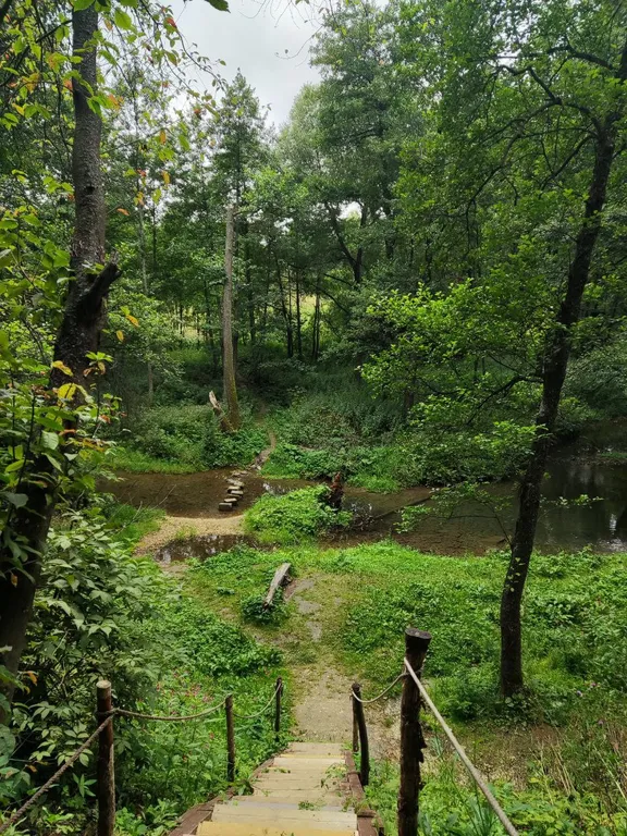 Барнхаус с панорамными окнами Хаус Гринвуд