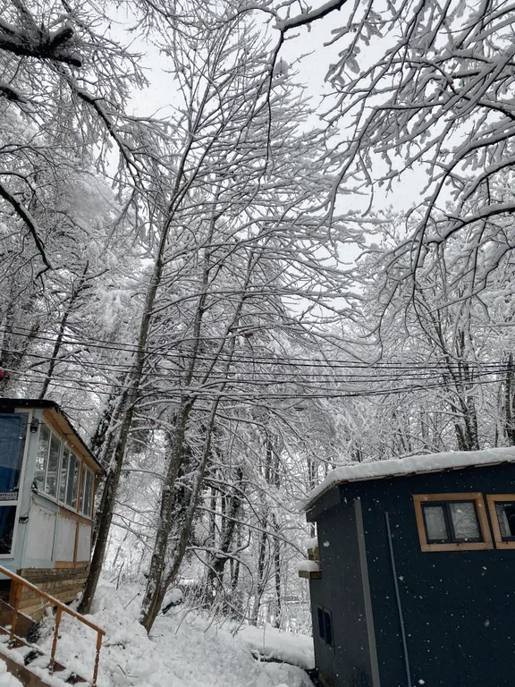 Уютный домик