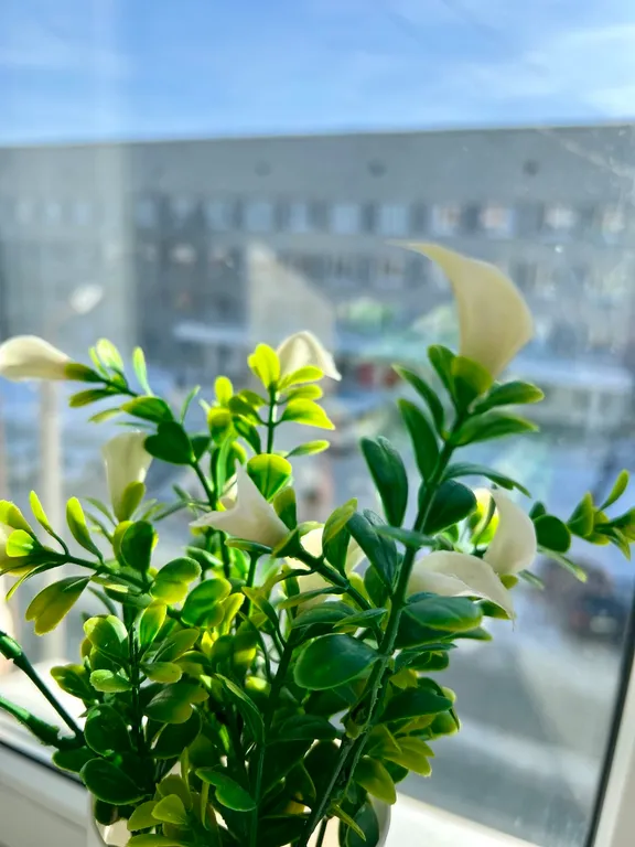 Квартира в центре города, район пед. университета